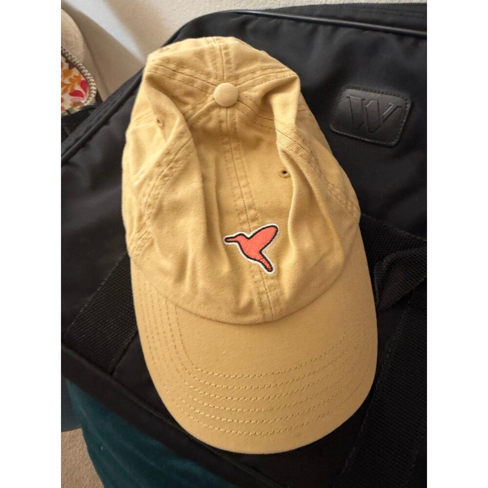 Birddogs hat baseball